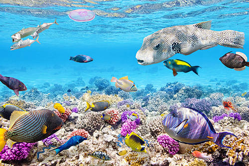 圣经灭世洪水讲解,圣经中的挪亚和洪水