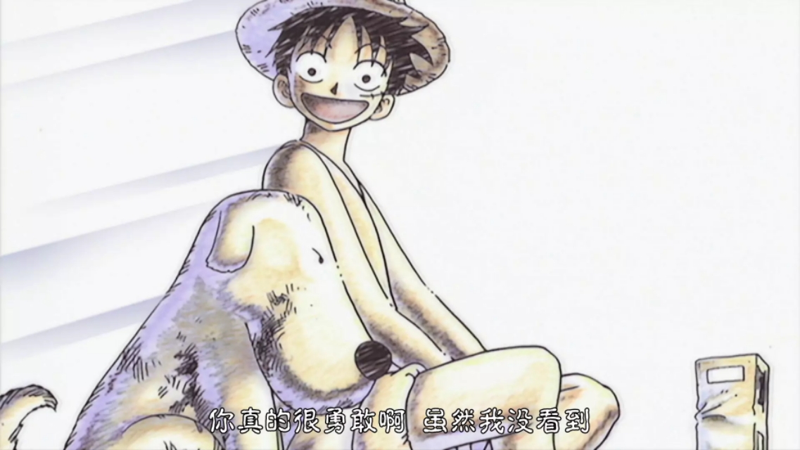 海贼王丨最萌的10大宠物，你最想养哪一只呢？