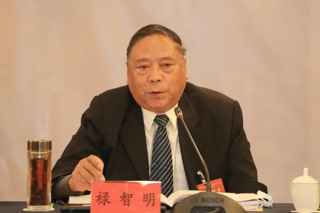 毕节市代表大会,毕节市人大会议黔西代表团视频