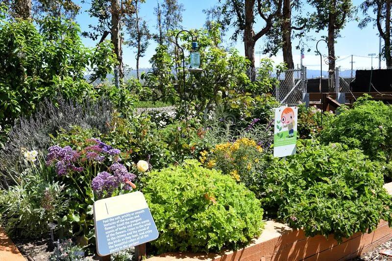 被众人憧憬！如今尔湾大公园的开发怎么样了？