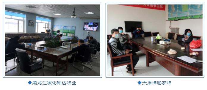 疫情中的困境及自救,疫情当下困境