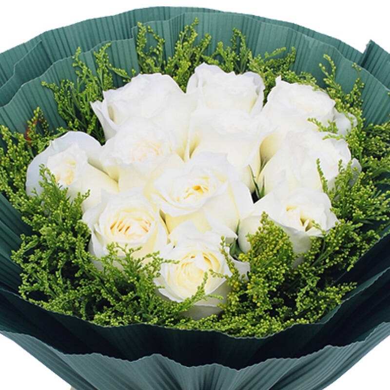 各色玫瑰不同花语表白千万别送错了哦！「凌源名品」