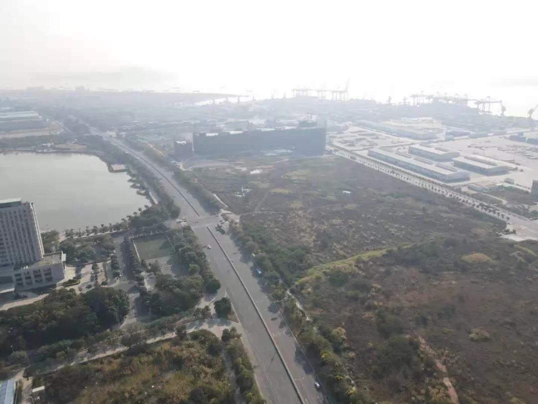 沙田韭菜聚集地，最像投资盘的投资盘