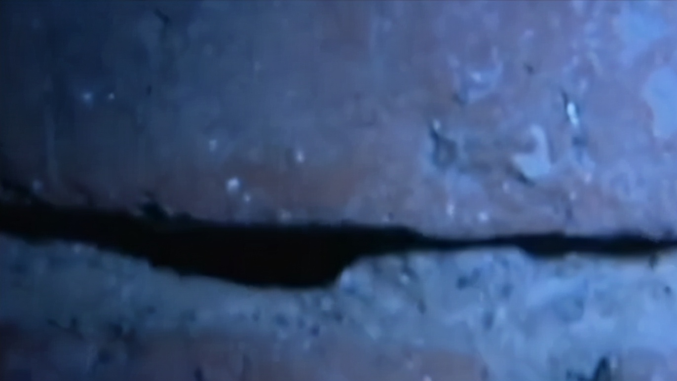 毒蝎进村的真实事件,毒蝎进村的真实原因