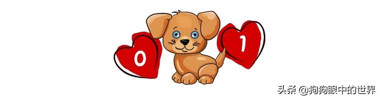 狗狗感冒好了没几天又感冒了,狗狗感冒好了之后还是没精神