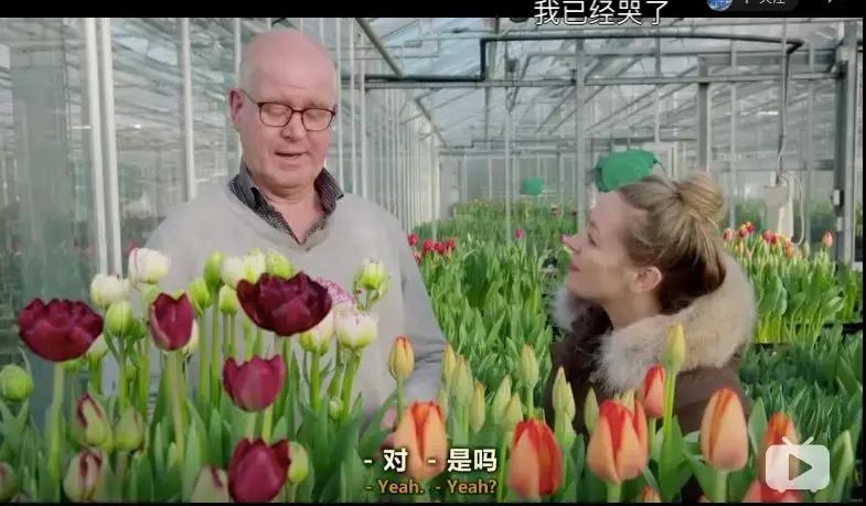 bbc中国探秘纪录片,bbc探秘印尼爪哇古洞