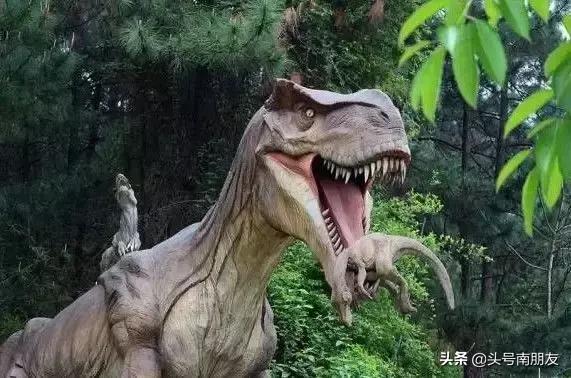 六一去哪里玩最好附近,六一周末去哪里好玩