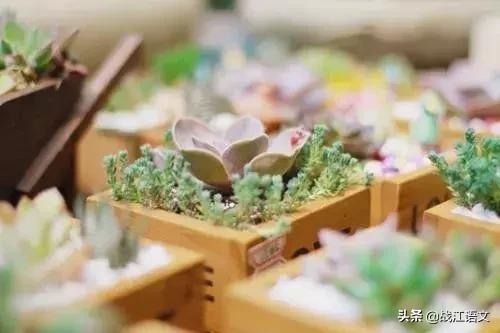 中考语文病句辨析的技巧,中考语文病句题答题技巧和方法