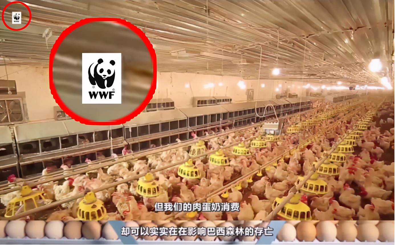 这场“内鬼”风波，到底打了谁的脸？