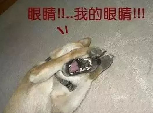 眼睛进了脏东西，应该怎么办？