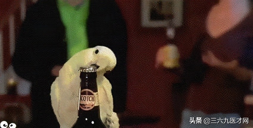 看牙医时的感受,做牙医的真实感受