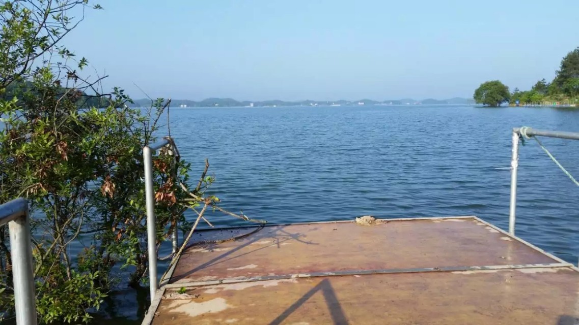 钓鱼王美人鱼佳钓尼鱼线测评,美人鱼鱼竿和佳钓尼哪个好