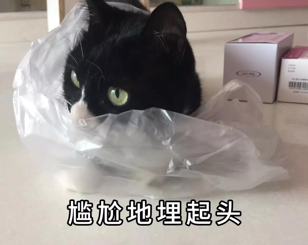 网约车被要求逆行,逆行网约车