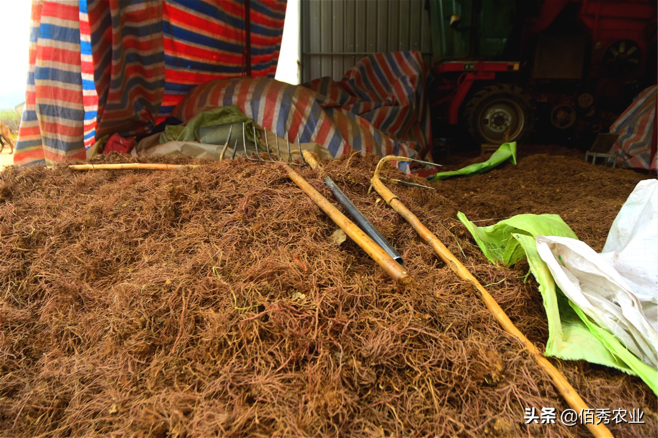 农村人过年回家,农村人最关注的是什么