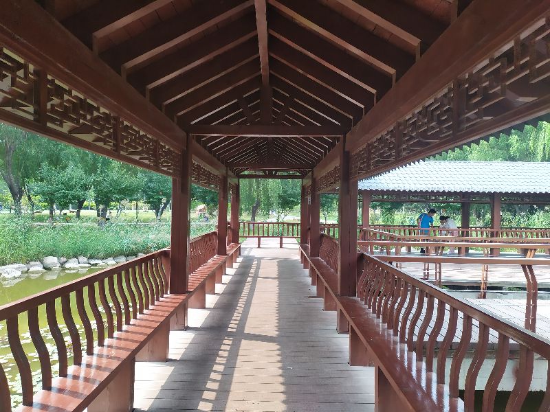 东环公园冬季图片,东环公园景点的介绍