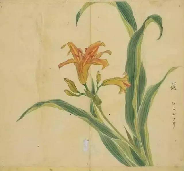 惊艳千年的古诗词合集,五千年来最美的20首诗