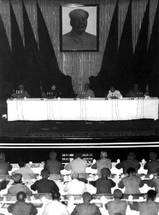 庐山会议上毛*东泽**对话林彪：“我劝你也别当国家主席”