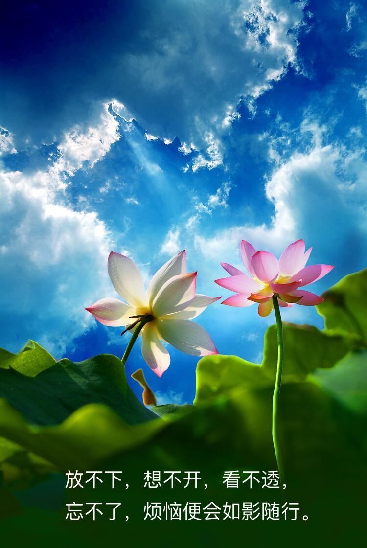 心中的神明,心中的神明作文