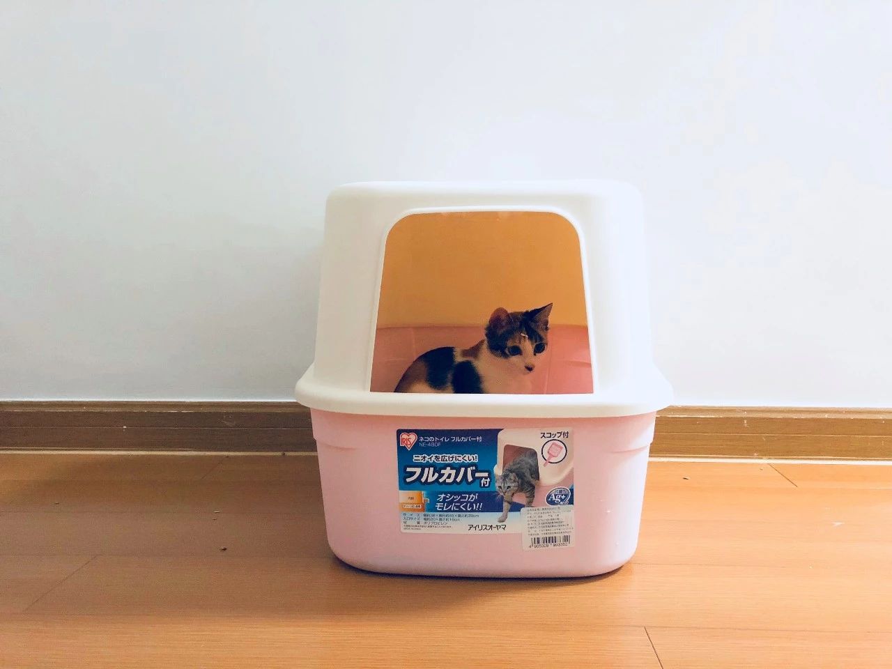 养过猫的房子味道大怎么去除味道,被子上猫的味道怎么去除