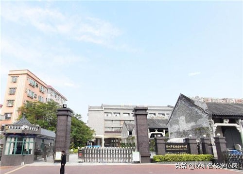 宝安小学排名一览表,弘雅小学在宝安的排名