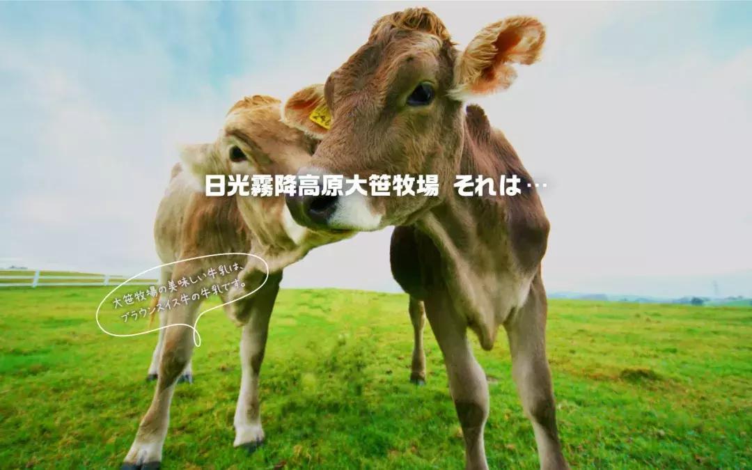 日本东京旅游攻略小众景点,日本东京小众旅游攻略