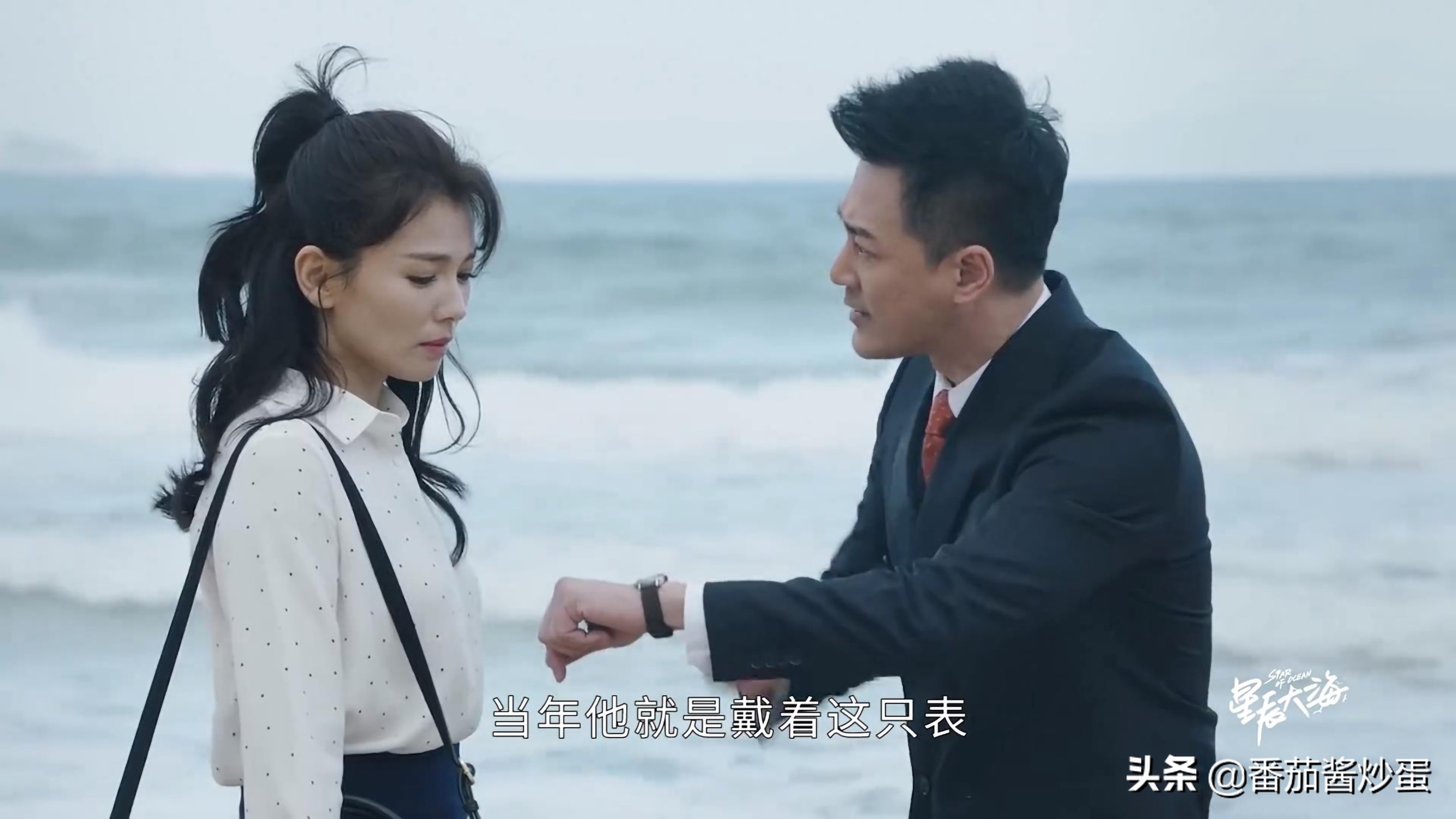 星辰大海简爱学历曝光,星辰大海简爱被文馨威胁