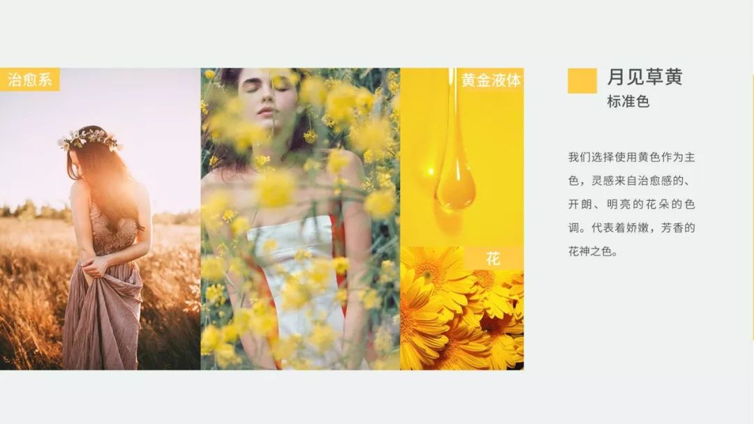 爱诺玛亚产品怎么样,如何打造品牌认知