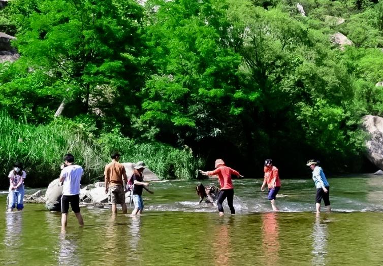 房车旅居游,房车逃离野外