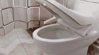 松下智能马桶盖怎么选择 (松下智能马桶盖1310测评)