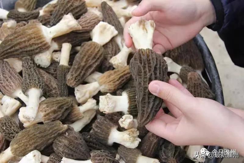 成都健康证有效期一般多久,办了健康证还需要隔离吗