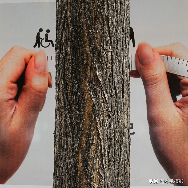 鍩庡競琛楄鎽勫奖,琛楄鎽勫奖娆h祻