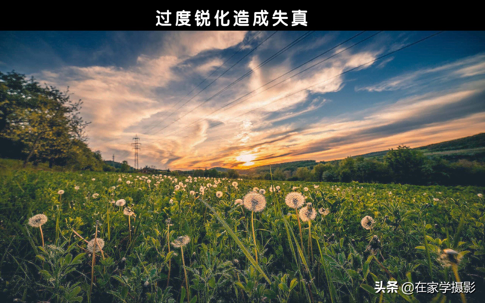 摄影调整教程,相机拍照模糊怎么调清晰