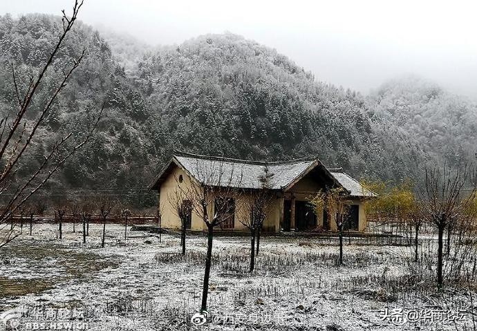 陕西安康14岁少女性侵案,陕西安康13岁女孩遭姑父长期施暴