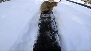 冬奥会服装绘画,冬奥会奖牌设计画