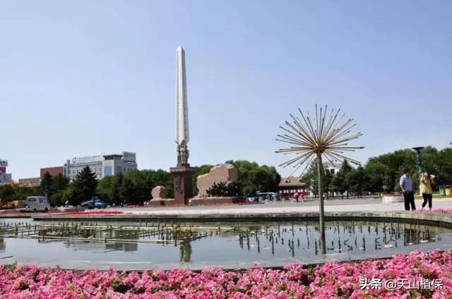 上榜啦！*疆新**鸟市和石市即将被国家命名！未来发展不可估量