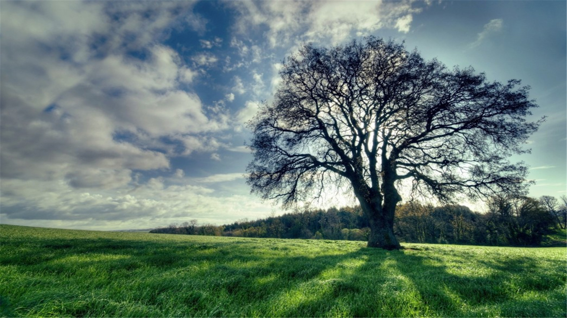 蓝色护眼壁纸唯美图片,最美的护眼桌面壁纸