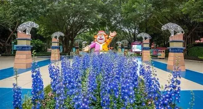 38女神节广州有哪些免费景点,38妇女节广州免票景点