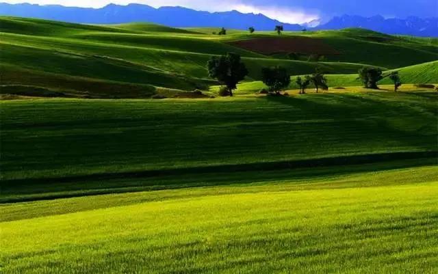 昌吉温泉推荐,打卡昌吉网红森林音乐喷泉