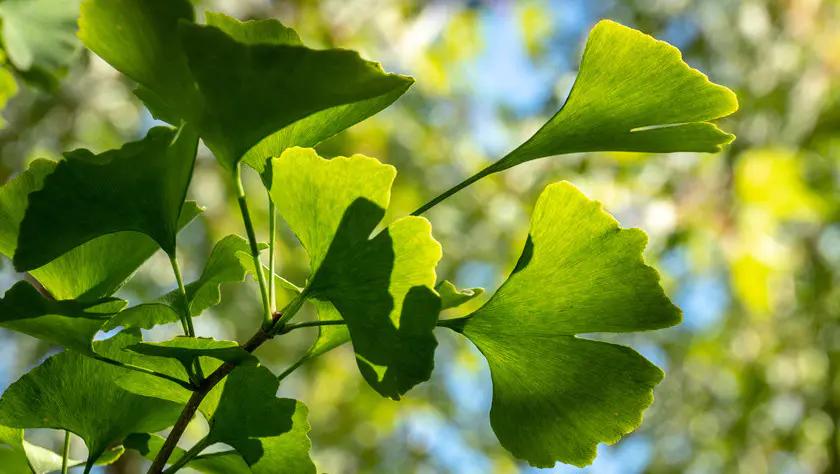 抖音上卖的雅顿身体乳,雅顿新款身体乳