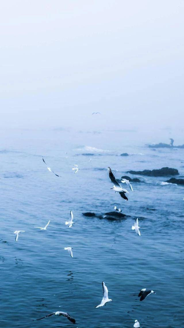 高清壁纸8k风景壁纸,风景壁纸超清手机壁纸