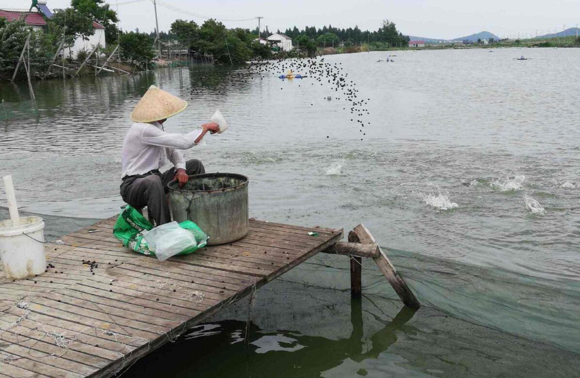 养殖农业为什么不赚钱,养殖为什么很少发财的