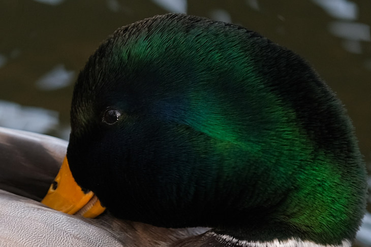 富士xt3有哪些变焦镜头推荐,富士x-t30xc35套机拍照