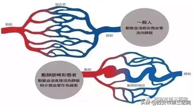 大脑恐怖秘密,大脑惊天秘密