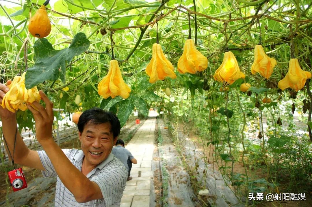 嘿！我在射阳很幸福