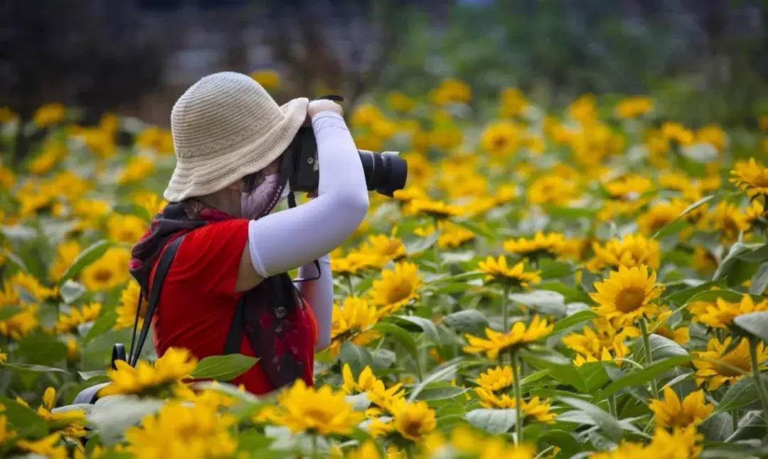 乐山市生态文明,庆祝新中国成立70周年特辑宣讲