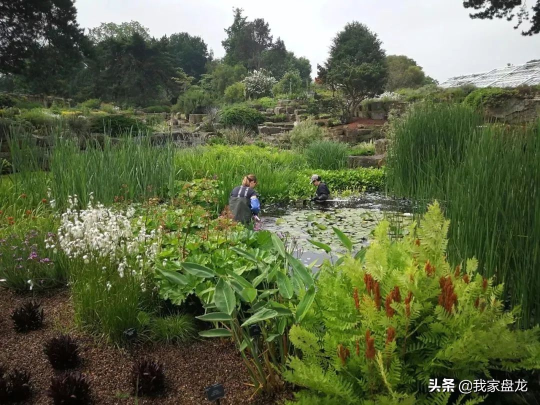 这种乱七八糟滴栽花方式,到底是不是园丁出了问题?