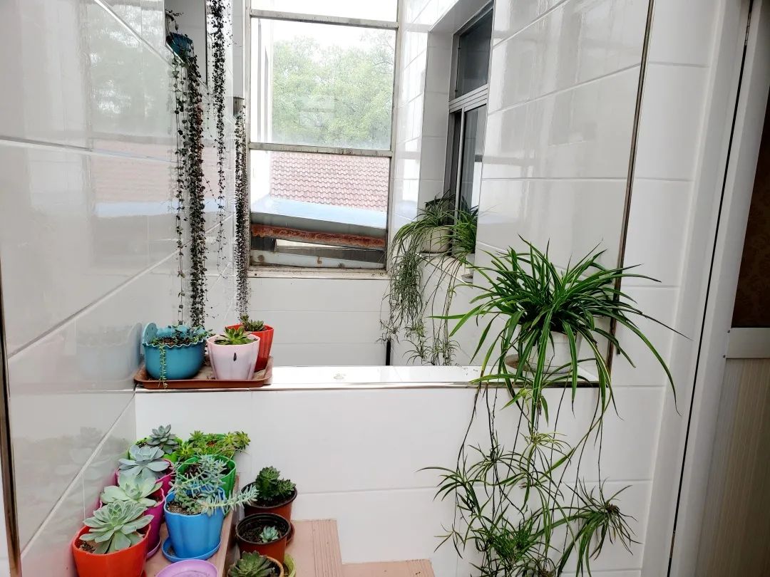 风景好的地方江阴,江阴好风景