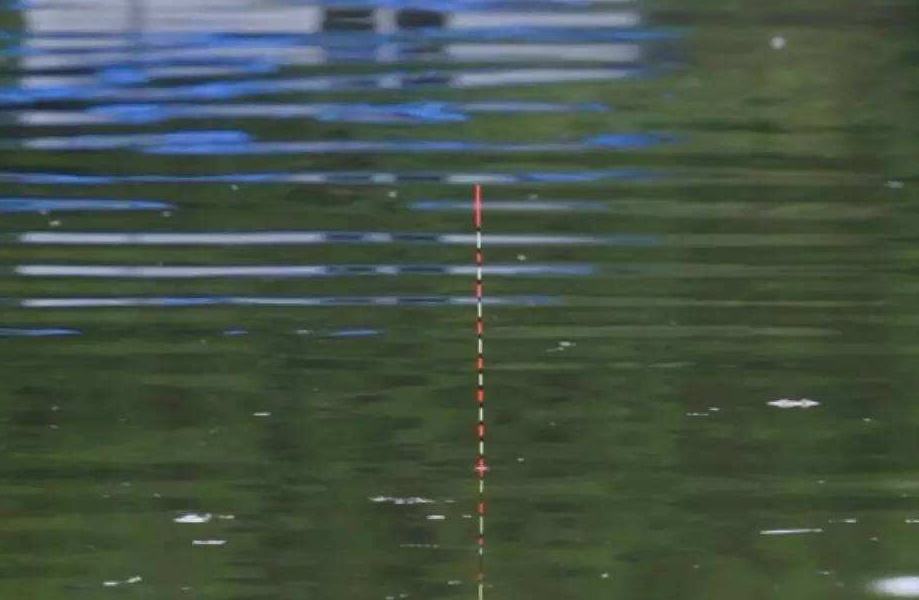 钓鱼浮漂的基本知识,钓鱼浮漂的真正知识