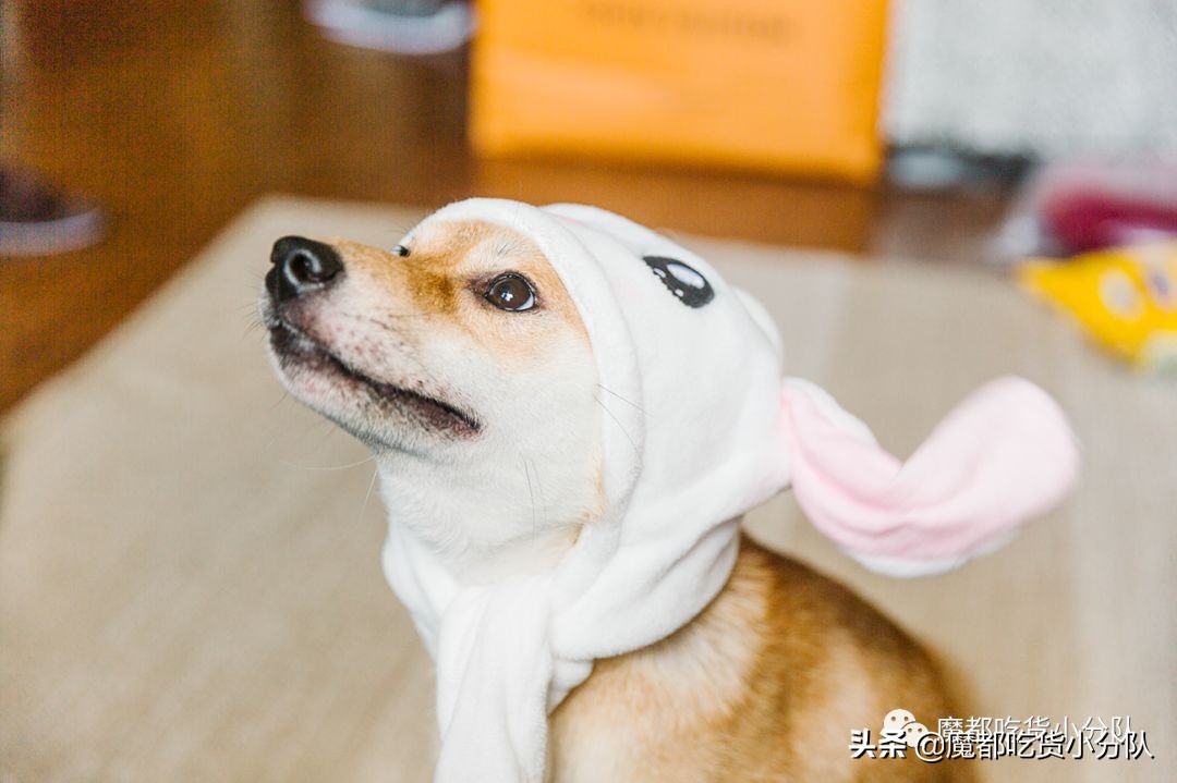 高考择校tips,高考择校指导985211