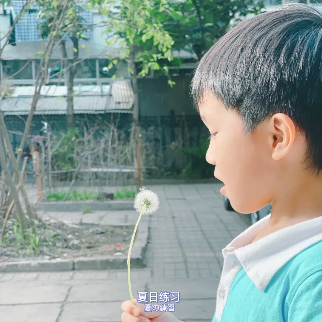 七月的晚霞好美,夏天六月的晚霞